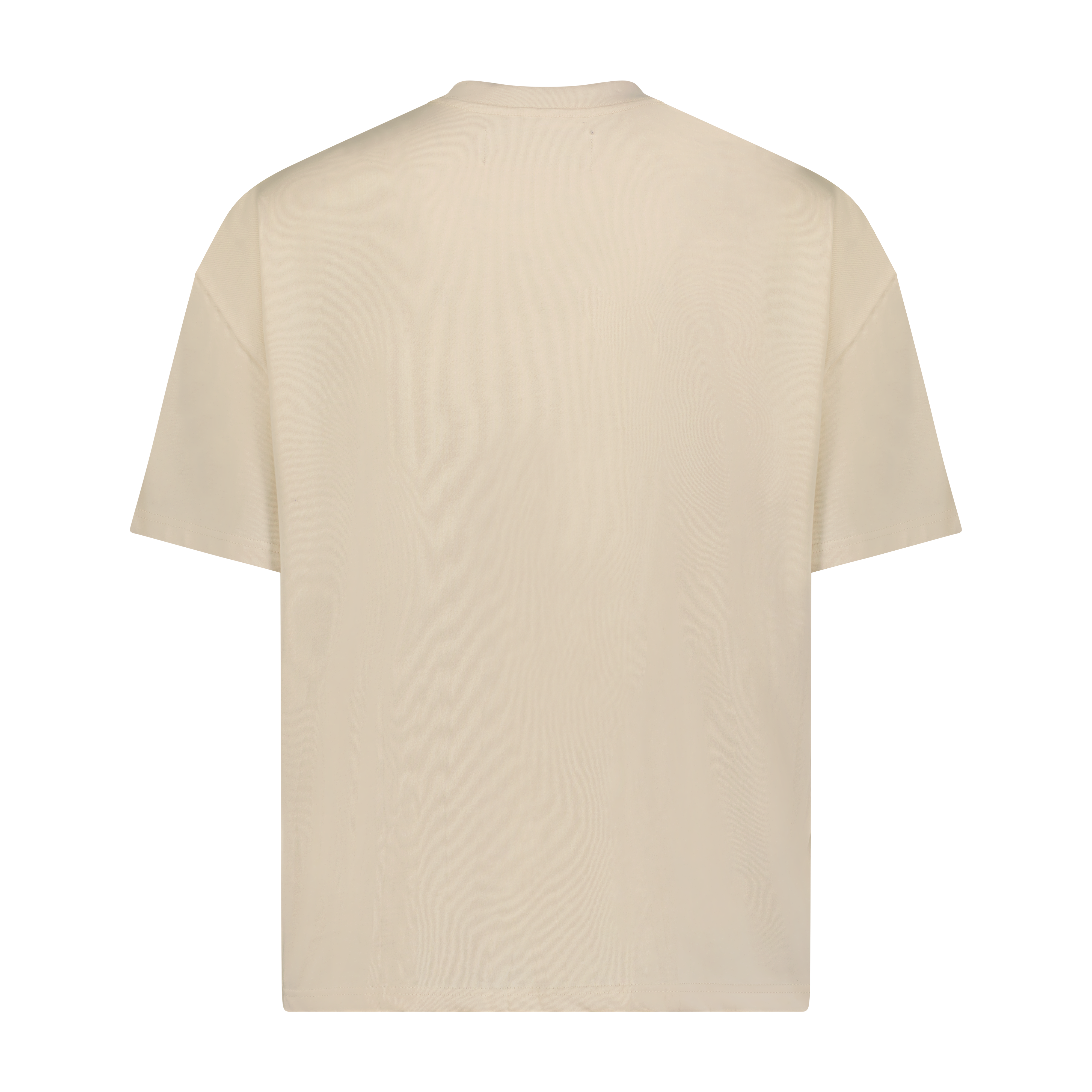 TKBoxyShirt_02back.png