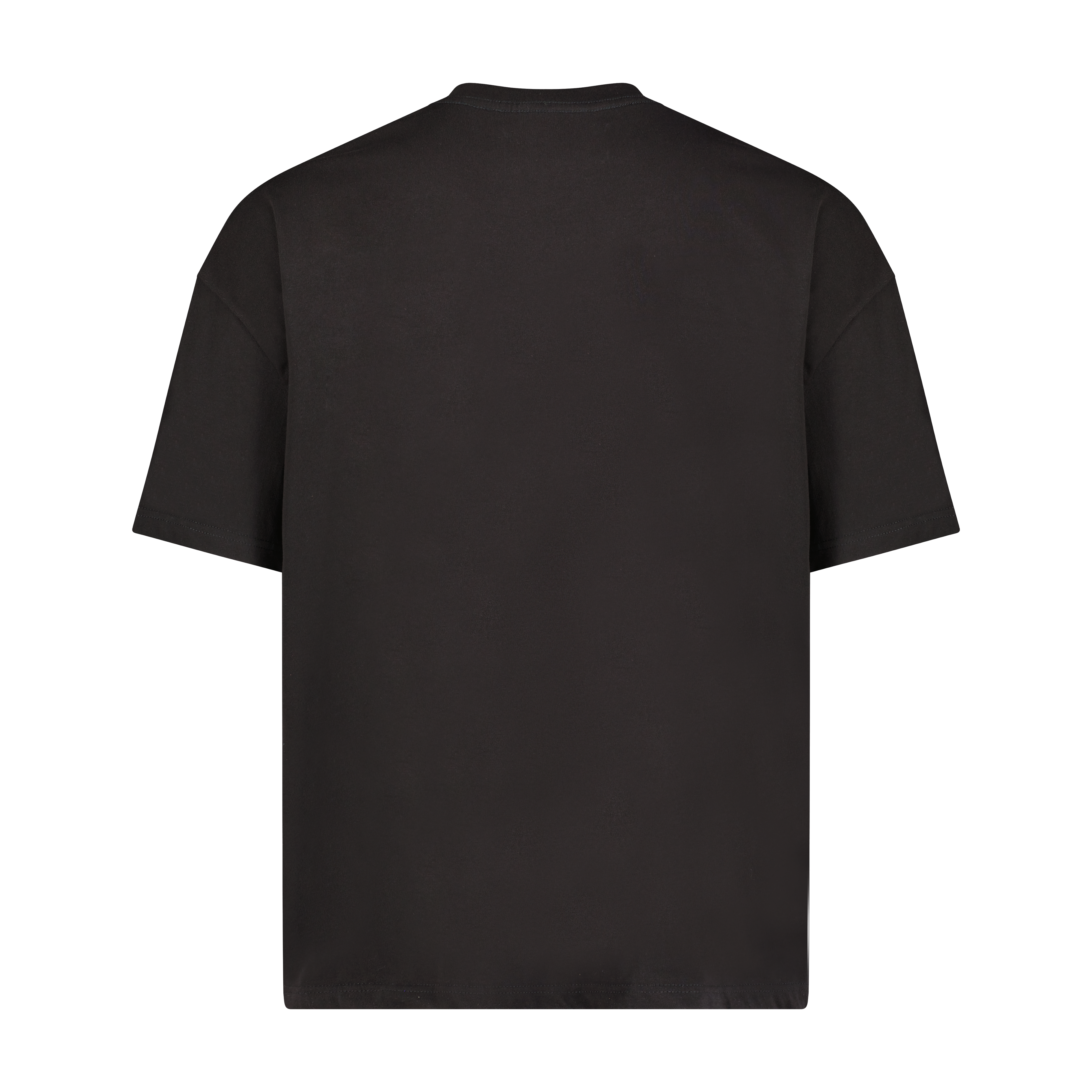 TKBoxyShirt_03back.png